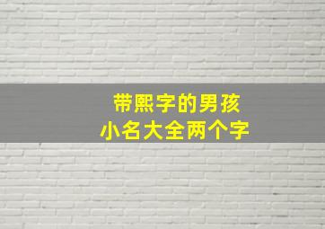 带熙字的男孩小名大全两个字