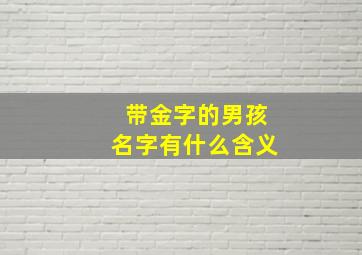 带金字的男孩名字有什么含义