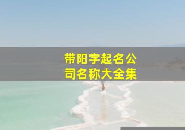 带阳字起名公司名称大全集