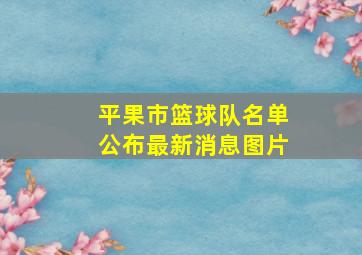 平果市篮球队名单公布最新消息图片