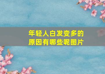 年轻人白发变多的原因有哪些呢图片