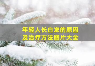 年轻人长白发的原因及治疗方法图片大全