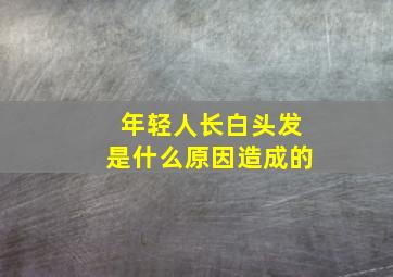 年轻人长白头发是什么原因造成的