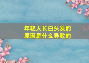 年轻人长白头发的原因是什么导致的