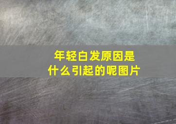 年轻白发原因是什么引起的呢图片