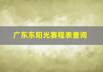 广东东阳光赛程表查询