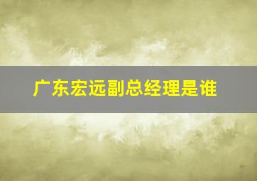 广东宏远副总经理是谁