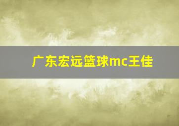 广东宏远篮球mc王佳