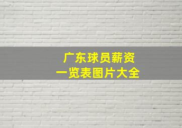 广东球员薪资一览表图片大全