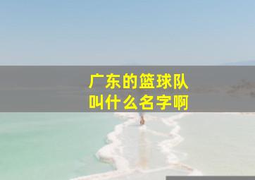 广东的篮球队叫什么名字啊