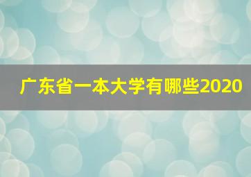 广东省一本大学有哪些2020