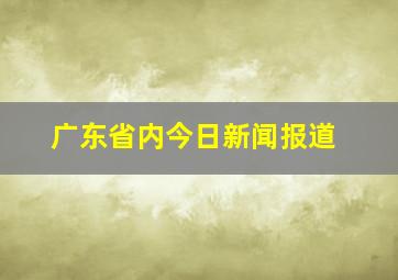 广东省内今日新闻报道