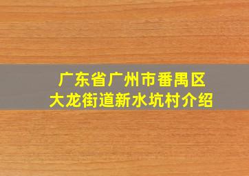 广东省广州市番禺区大龙街道新水坑村介绍