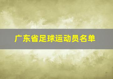 广东省足球运动员名单