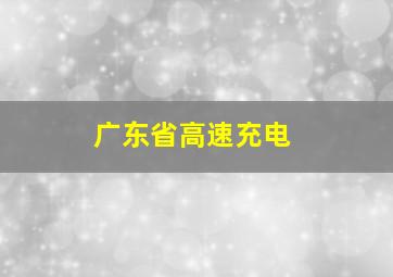 广东省高速充电