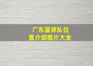 广东篮球队位置介绍图片大全