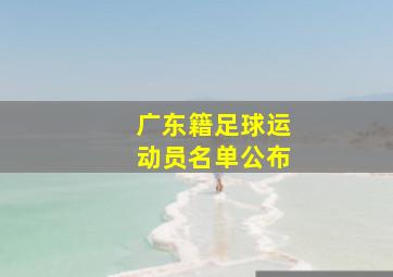 广东籍足球运动员名单公布