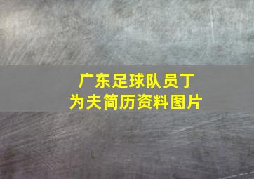 广东足球队员丁为夫简历资料图片