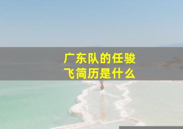 广东队的任骏飞简历是什么