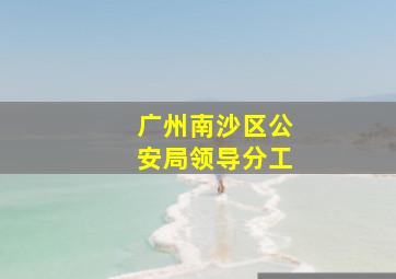 广州南沙区公安局领导分工