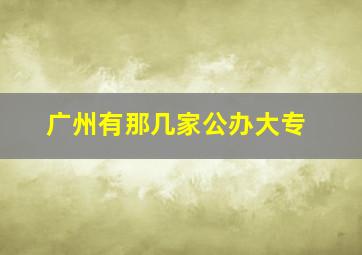 广州有那几家公办大专