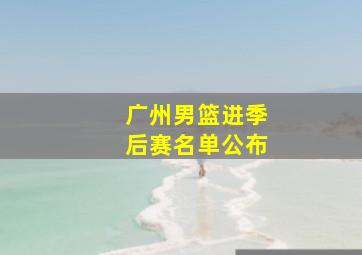 广州男篮进季后赛名单公布