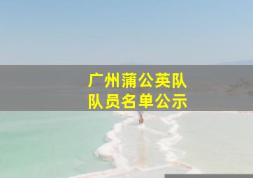 广州蒲公英队队员名单公示