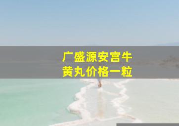 广盛源安宫牛黄丸价格一粒