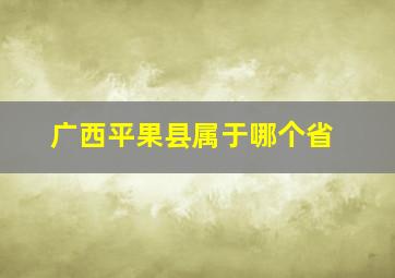 广西平果县属于哪个省