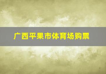 广西平果市体育场购票