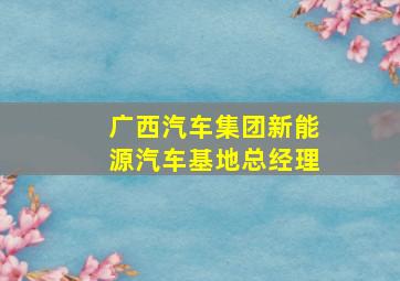 广西汽车集团新能源汽车基地总经理