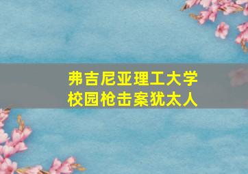 弗吉尼亚理工大学校园枪击案犹太人