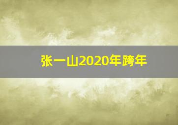 张一山2020年跨年