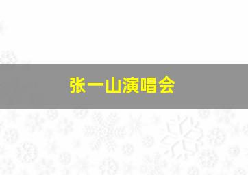 张一山演唱会