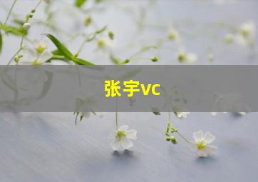 张宇vc