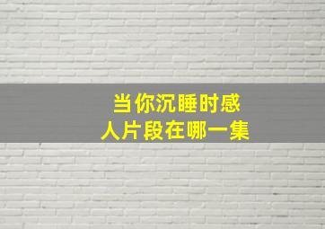 当你沉睡时感人片段在哪一集