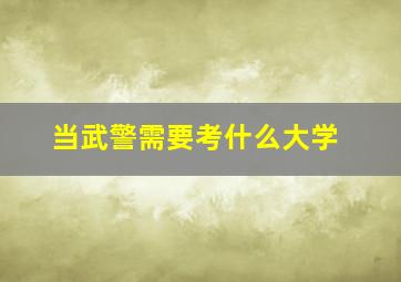 当武警需要考什么大学