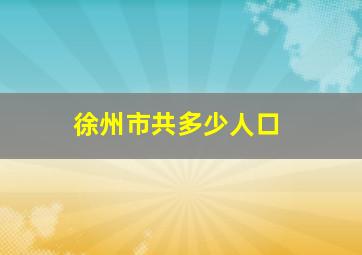 徐州市共多少人口