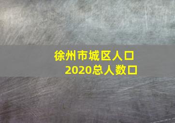 徐州市城区人口2020总人数口