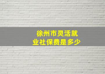 徐州市灵活就业社保费是多少