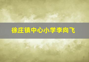 徐庄镇中心小学李向飞