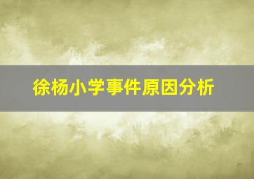 徐杨小学事件原因分析