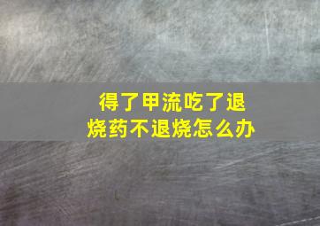 得了甲流吃了退烧药不退烧怎么办