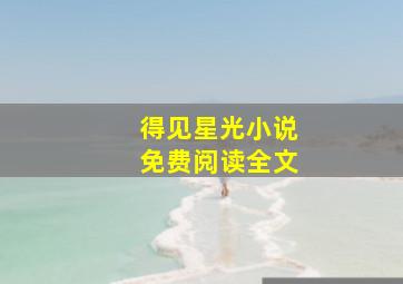 得见星光小说免费阅读全文