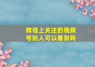 微信上关注的视频号别人可以看到吗