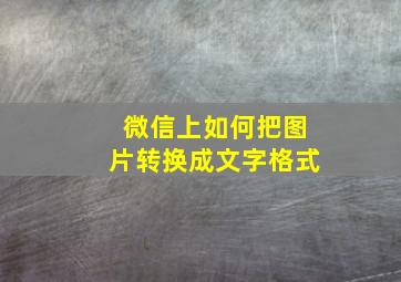 微信上如何把图片转换成文字格式