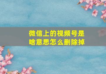 微信上的视频号是啥意思怎么删除掉