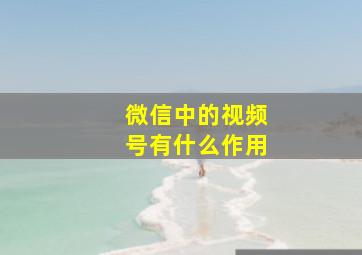 微信中的视频号有什么作用