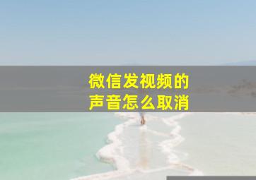 微信发视频的声音怎么取消