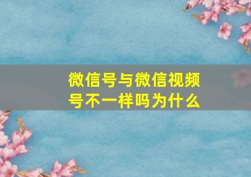 微信号与微信视频号不一样吗为什么